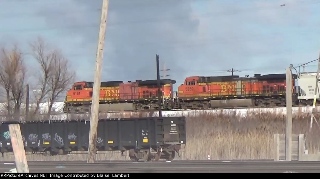 CN L59491